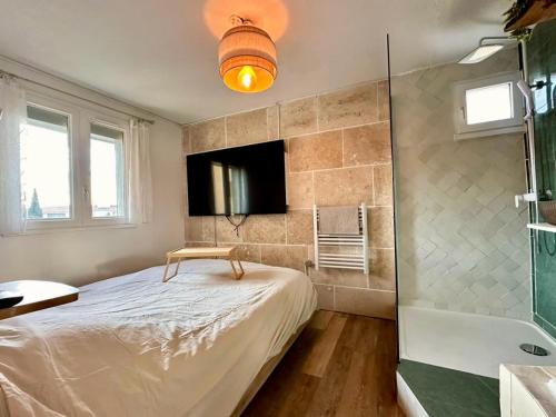 - une chambre avec un lit, une douche et une télévision dans l'établissement Loft Style Architecte - Bain Duo et Cinema - Cap d'Agde, au Cap d'Agde