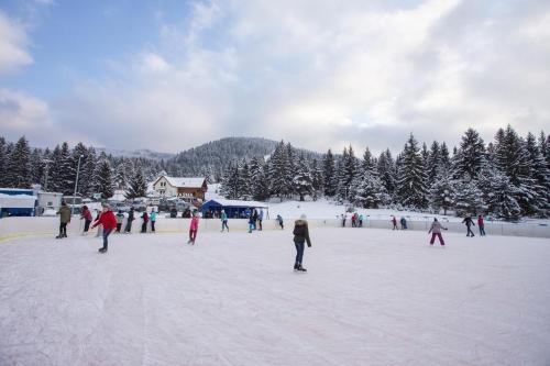 a group of people playing in the snow at Casa Jazmin Covasna in Covasna