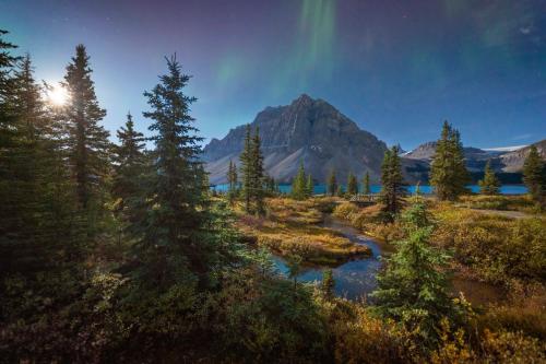 a mountain and a river in a field with trees at The Lodge at Bow Lake in Lake Louise