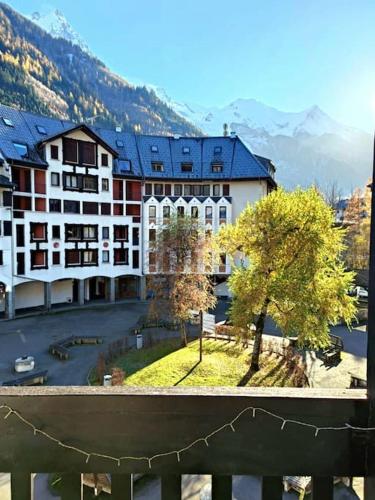 Studio avec balcon vue MontBlanc et parking gratuit le nid daigle