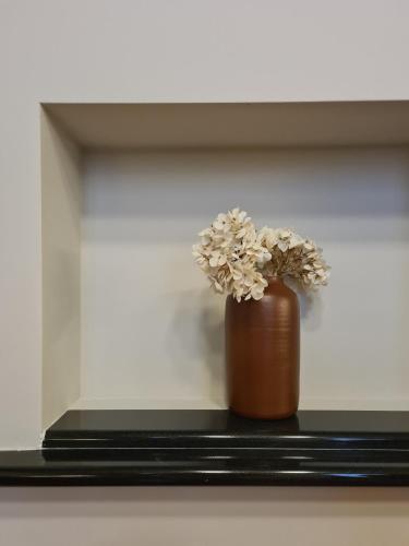 Serendipity Apartments - Missori photo 16