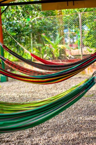 a row of hammocks in a garden at Hotel y Parque Turístico Navar City in Villavicencio