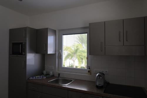 a kitchen with a sink and a window at Palm Crest Curacao 150C in Willemstad