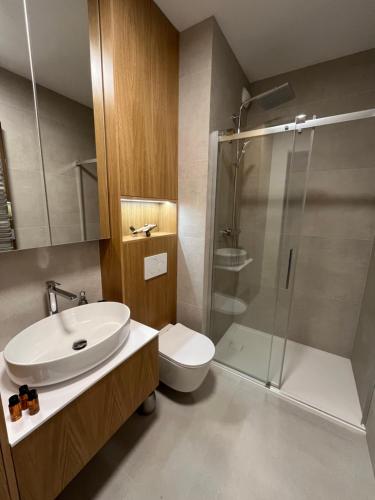 a bathroom with a toilet and a sink and a shower at TM APARTMENTS Ludwiki in Warsaw