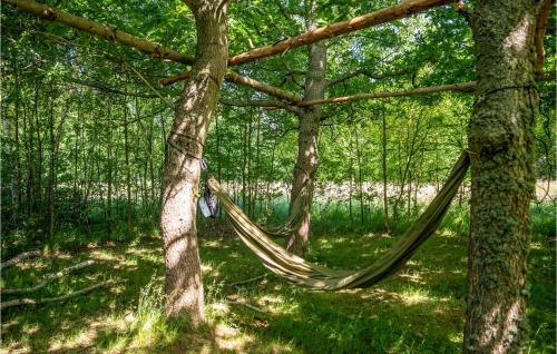 a hammock hanging between trees in a forest at Stunning Home In Ørsted With Sauna in Ørsted