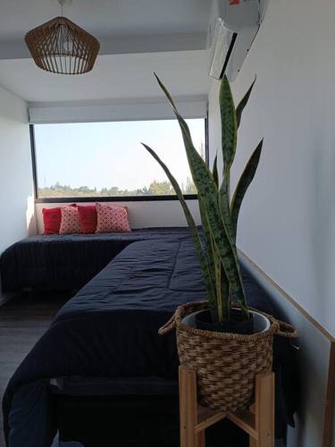 a potted plant sitting on a bed in a room at Cabaña conteiner Aires de Mar in Huerta Grande