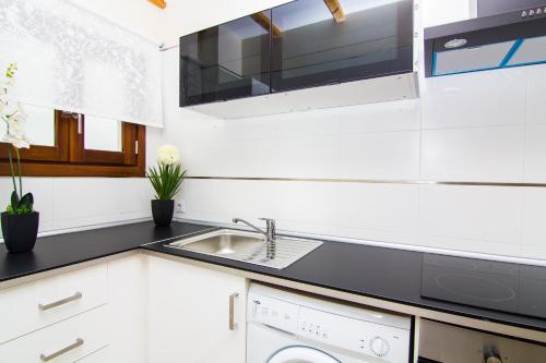 a kitchen with a sink and a dishwasher at Apartamentos Centro Puerto de Santa Maria in El Puerto de Santa María