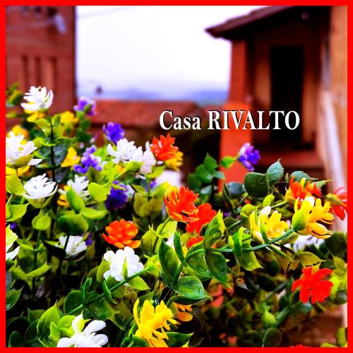 a bunch of colorful flowers in a pot at Casa RIVALTO - Antiche Dimore Pisane in Rivalto