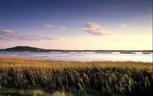 a large body of water with a field of grass at Superbe Maison - Bain Chaud ou Froid & Cinema - Cap d'Agde in Cap d'Agde
