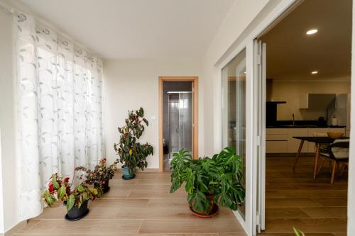a hallway with several potted plants on the floor at Casa da Adega in Vila Real
