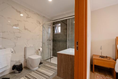 a bathroom with a shower and a toilet and a sink at Casa da Adega in Vila Real