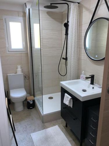 une salle de bain avec une douche, un lavabo et des toilettes dans l'établissement Appartement T2 à Sanary-sur-Mer, à Sanary-sur-Mer