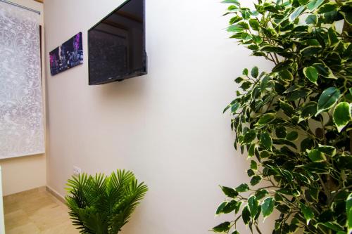 a tv hanging on a wall next to a plant at Apartamentos Centro Puerto de Santa Maria in El Puerto de Santa María