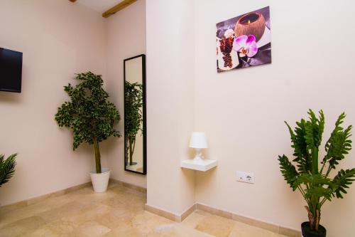 a room with potted plants and a lamp on a wall at Apartamentos Centro Puerto de Santa Maria in El Puerto de Santa María