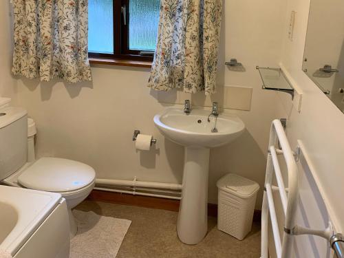 a bathroom with a sink and a toilet and a window at Oak Lodge - Uk38192 in Chittoe