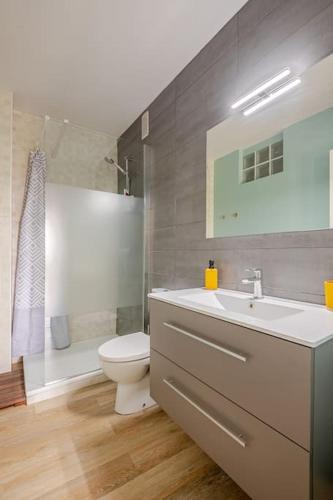 une salle de bain avec un lavabo, des toilettes et une douche dans l'établissement Studio ensoleillé port Bassin d'Arcachon, à Arcachon
