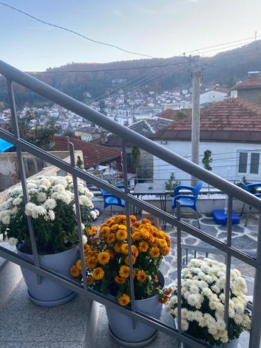 a group of flowers in pots on a balcony at Villa Irena in Kruševo