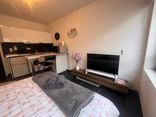 une chambre avec un lit et une télévision à écran plat dans l'établissement Nid douillet de la pie, à Strasbourg