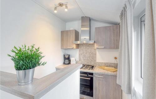 a kitchen with wooden cabinets and a potted plant at Chalet 21 Am See in Süsel