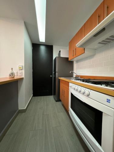 a kitchen with a black door and a refrigerator at Departamento Elefante in Mexico City