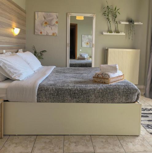 a bedroom with a large bed and a mirror at Park Hotel Polykastro in Polýkastron