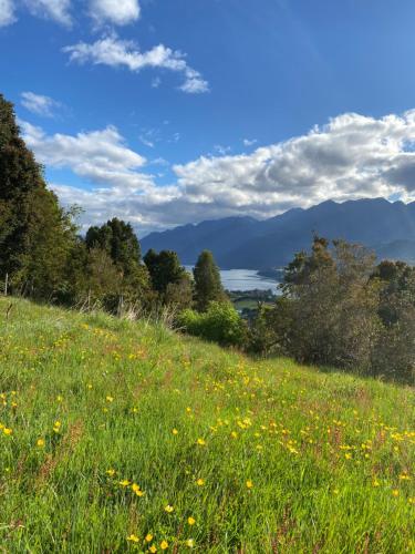 a field of flowers with mountains in the background at Las Bandurrias Eco Hostal in Cochamó
