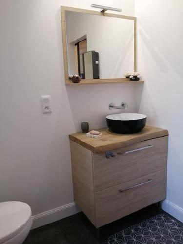 une salle de bain avec un lavabo et un miroir dans l'établissement En pleine verdure, à Glaignes