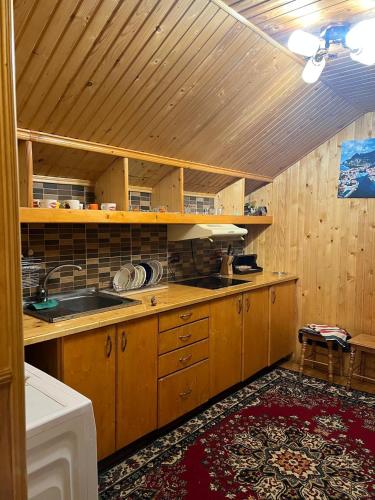 a kitchen with wooden cabinets and a sink at Farmstead Lisova in Mizhhirʼʼya