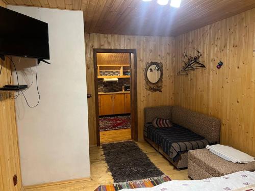 a living room with a couch and a flat screen tv at Farmstead Lisova in Mizhhirʼʼya