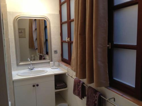 une salle de bain avec un lavabo et un miroir dans l'établissement Appartement Centre Historique 2 personnes, à Albi