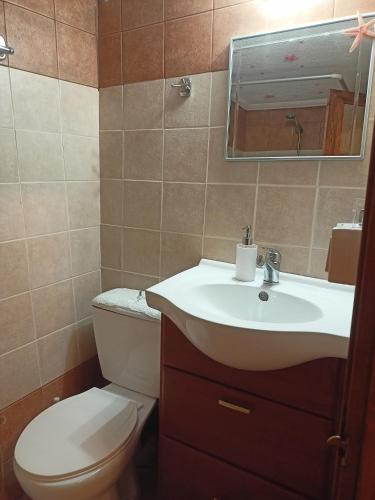 a bathroom with a toilet and a sink and a mirror at Traditional Creta stone house in serenity village in Vitsiliá