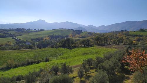 a green field with trees and mountains in the background at Amelia Sweet Home - Farindola in Farindola