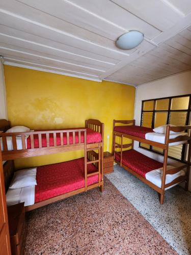 two bunk beds in a room with a yellow wall at Flying Dog Hostel Iquitos in Iquitos