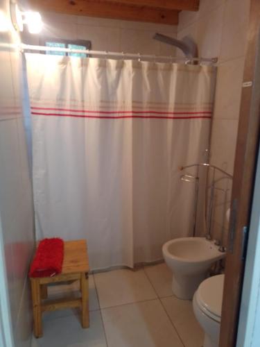 a bathroom with a shower curtain and a toilet at Casa en Villa Ventana in Villa Ventana