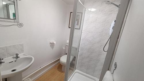 a bathroom with a shower and a toilet and a sink at Stansted Lodge Elsenham in Elsenham