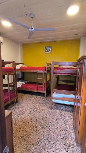 a room with three bunk beds and a yellow wall at Flying Dog Hostel Iquitos in Iquitos