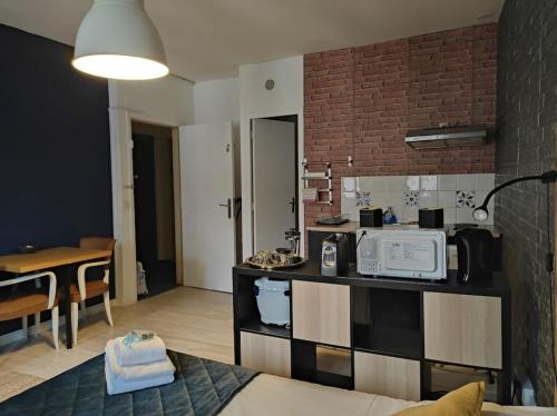 une cuisine avec un comptoir avec un micro-ondes dans l'établissement Vintage studio Rouen Beauvoisine, à Rouen