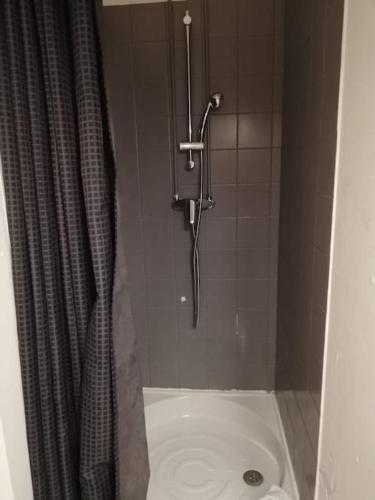 La salle de bains est pourvue d'une douche, de toilettes et d'un rideau de douche. dans l'établissement Vintage studio Rouen Beauvoisine, à Rouen