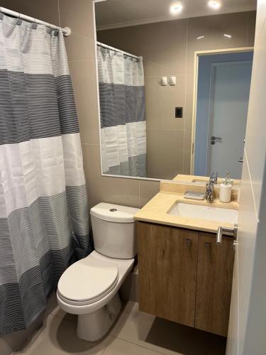 a bathroom with a toilet and a sink and a shower at Costanera playa in Villarrica