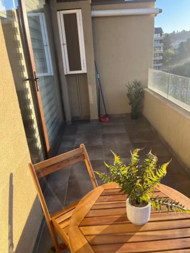 a wooden table with a plant on a balcony at Costanera playa in Villarrica