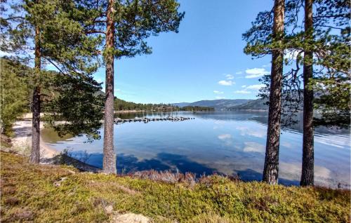 a view of a lake through a group of trees at Amazing Home In Treungen With Wifi in Treungen