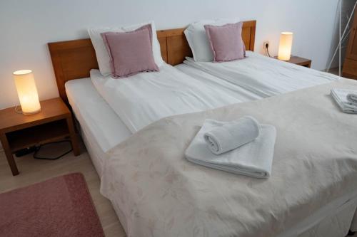 Ένα ή περισσότερα κρεβάτια σε δωμάτιο στο St. John Hill Apartment, Bansko