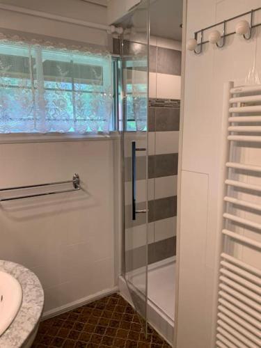 une salle de bain avec une douche avec une porte vitrée dans l'établissement L'atout coeur, à Ban-sur-Meurthe-Clefcy