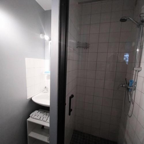 une salle de bain avec douche et lavabo dans l'établissement Résidence Relais - Agréable T2 bien équipé de 6 couchages avec vue sur les pistes 238R MAE-5481, à Réallon