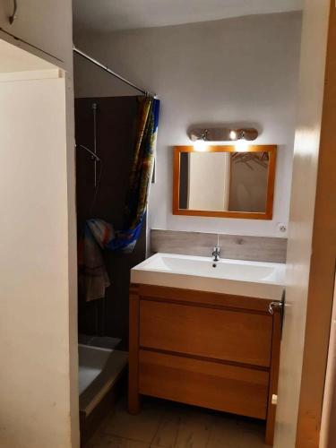 une salle de bain avec un lavabo, une douche et un miroir dans l'établissement Résidence Edelweiss - Boost Your Immo Vars l'Edelweiss MAE-9851, à Vars