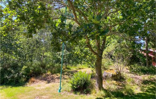 a green pole in the grass next to a tree at Nice Home In Bjällebäck With Wifi in Bjällebäck