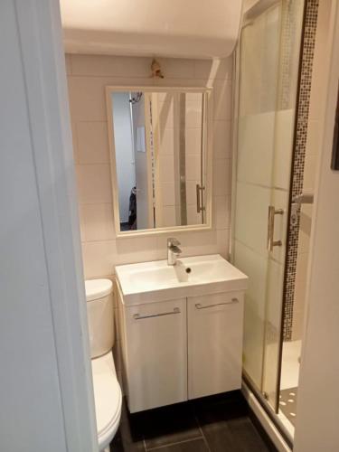 une salle de bain avec toilettes, lavabo et douche dans l'établissement Cosy Studio La Defense, à Puteaux