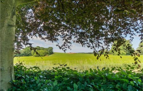 a field of green grass with a tree at Awesome Home In Gudhjem With Wifi in Gudhjem