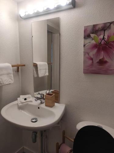 une salle de bain avec un lavabo et un miroir et des toilettes dans l'établissement Studio de charme 4 pers Rouen Centre Saint Gervais, à Rouen