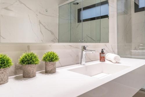 ブエノスアイレスにあるLive Soho Boutique Apartments Arcosの白いバスルームのシンク(鉢植えの植物2本付)